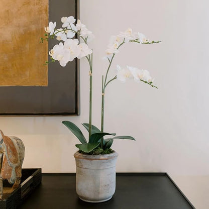 Faux white orchid arrangement in gray stone-look planter with green leaves