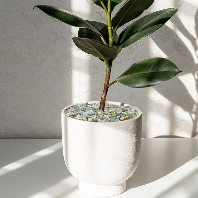 Stone pebbles filling a white planter pot with a small indoor plant