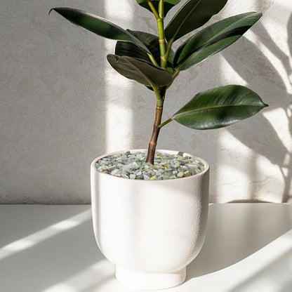Stone pebbles filling a white planter pot with a small indoor plant