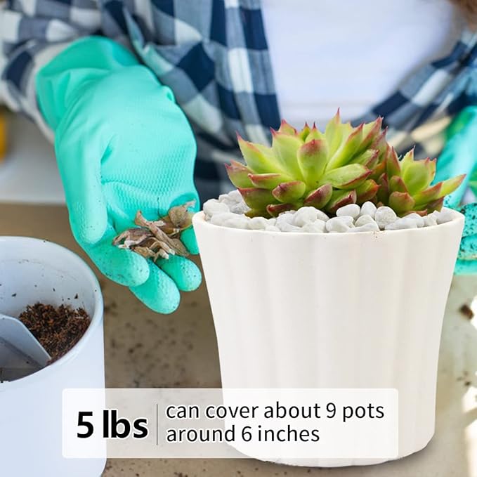 White natural gravel pebbles filling a white planter around succulents