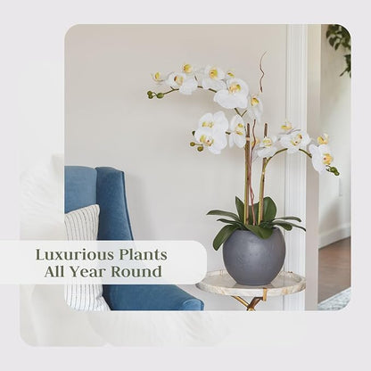 Faux white orchid double-stem in gray pot with green leaves, side view
