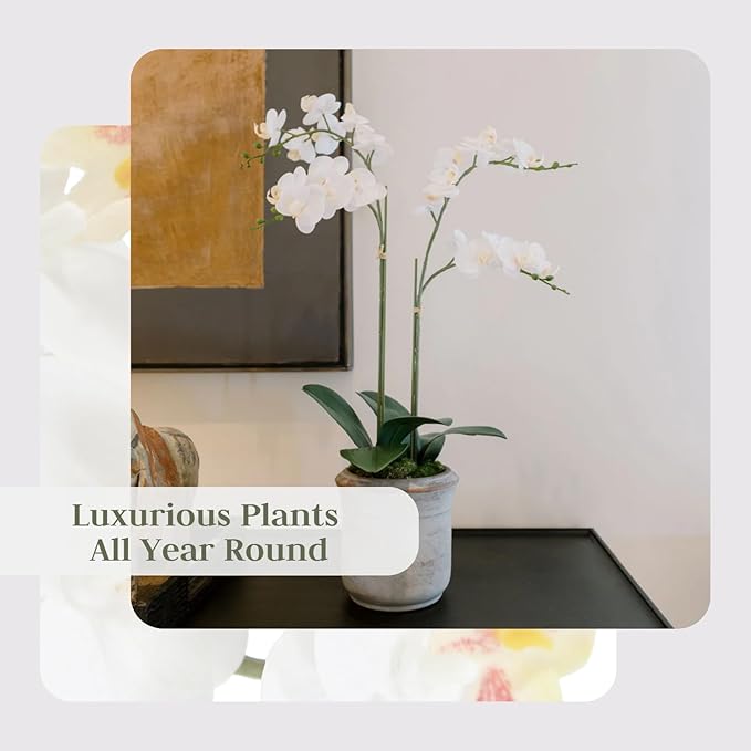 Faux orchid plant with white blooms in gray planter pot for indoor decor