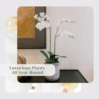 Faux orchid plant with white blooms in gray planter pot for indoor decor