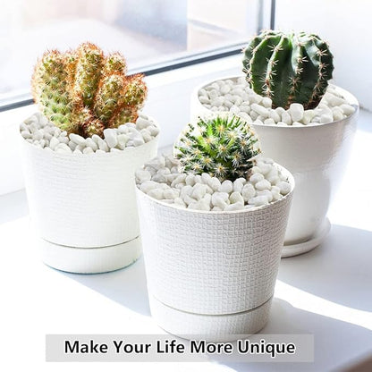 White natural gravel pebbles in white planters, used as decorative top layer