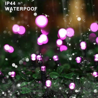 Purple LED mini string lights on green wire, glowing bulbs over wet surface