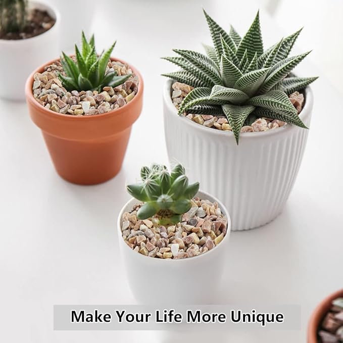 Peach-colored natural stone pebbles covering pots with succulents, terracotta and white