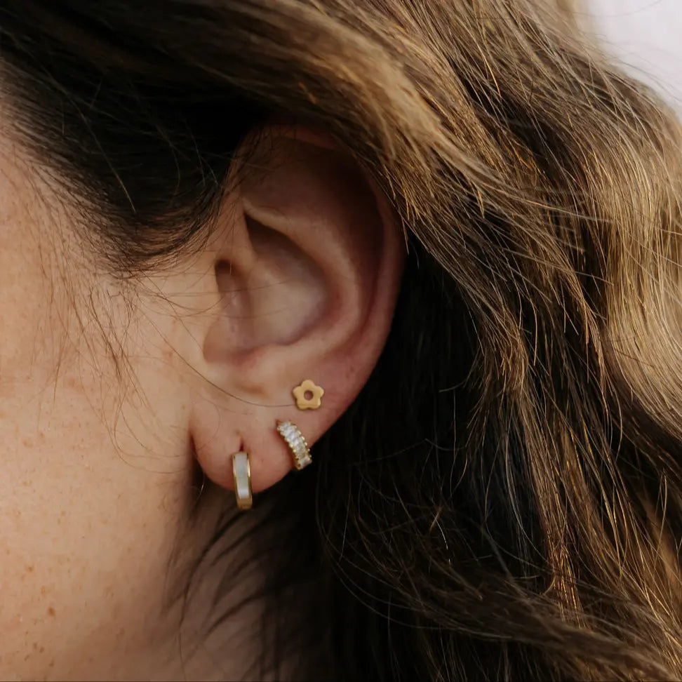 6Z5A0606_00f38574-119b-42a6-a5d9-e217cc937698 - Dream Dragons