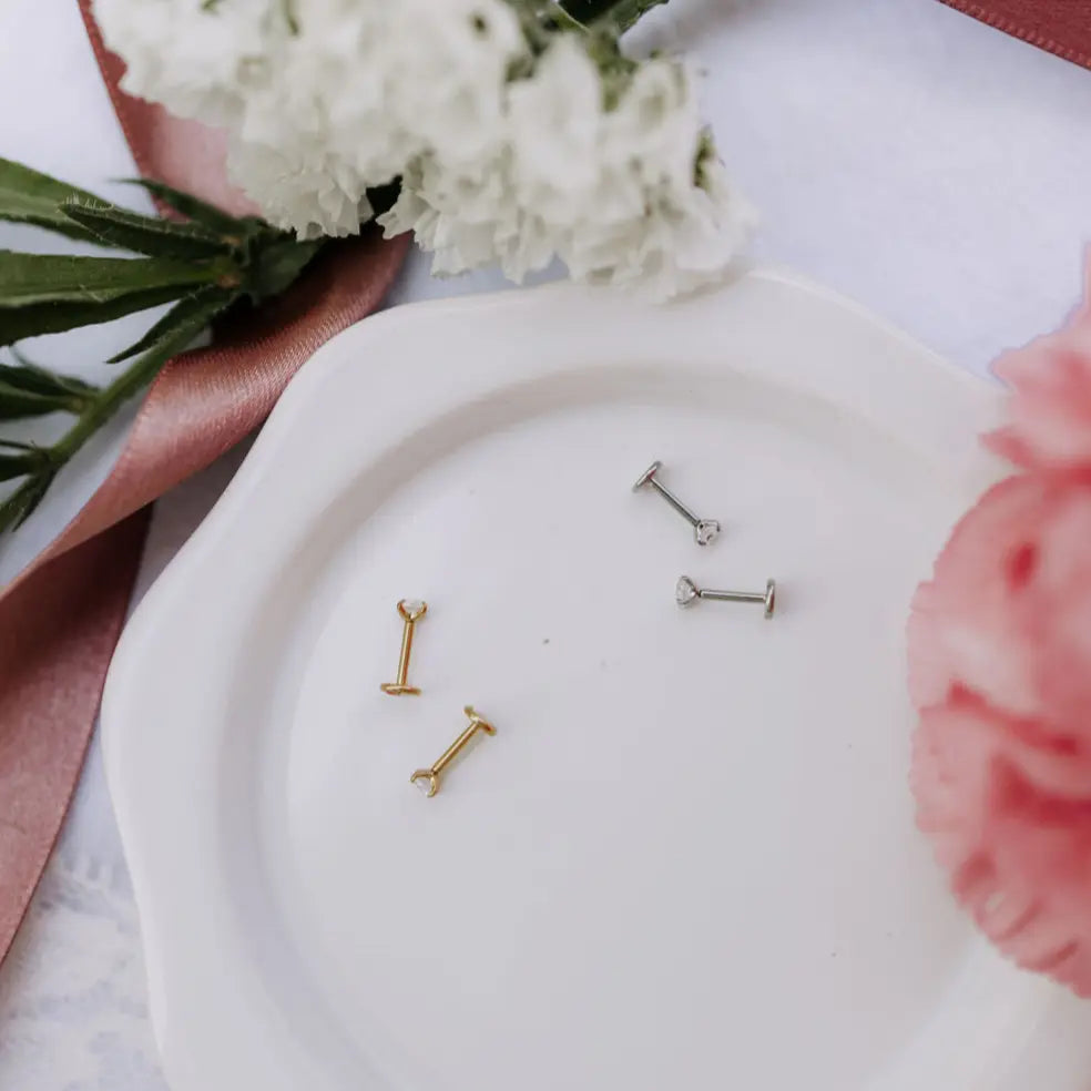 6Z5A2561_f04dcae9-37b2-4976-a365-9604d90de2ce - Dream Dragons