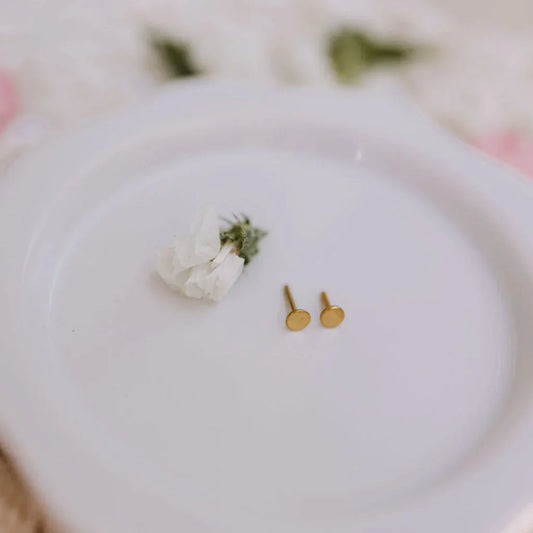 6Z5A2825_40fea88a-272b-426b-b5d3-e87484553ab2 - Dream Dragons