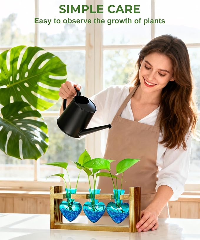Plant propagation station with three blue heart vases, green sprouts, and watering can