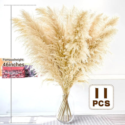 Beige dried pampas grass stems in a clear vase, full fluffy plume bouquet