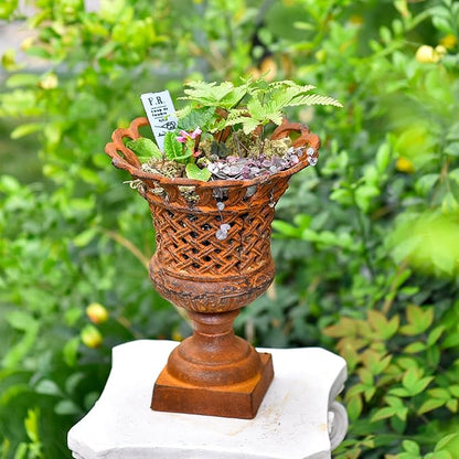 Rusty cast-iron openwork urn planter holding plants, crisscross lattice side design