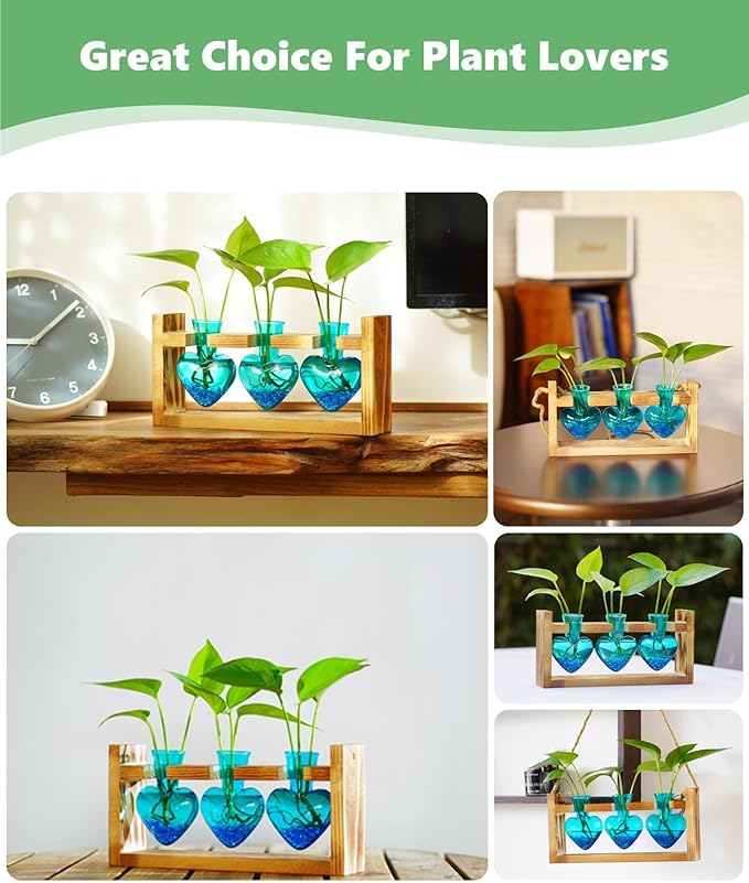 Plant propagation station display with wooden frame, blue heart vases, and small sprouts