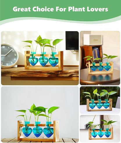 Plant propagation station display with wooden frame, blue heart vases, and small sprouts