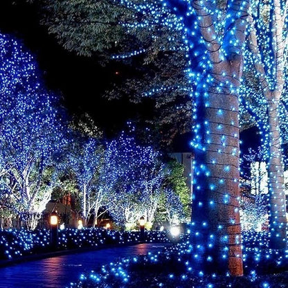 Blue mini LED string lights outlining trees and lining a garden walkway