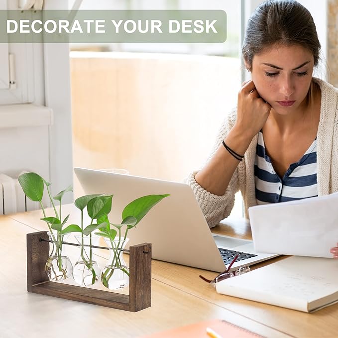 Plant propagation station with three glass bulb vases and green plants on desk