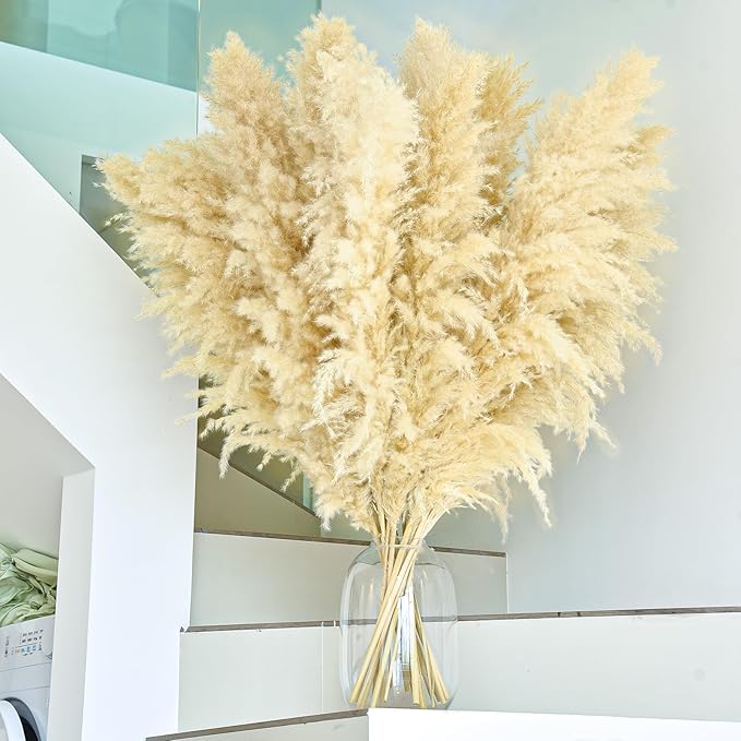 Beige pampas grass stems in a clear vase, dense fluffy feather plumes