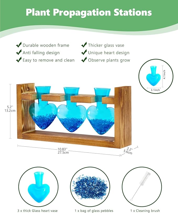 Plant propagation station with blue heart glass vases and wooden frame; includes cleaning brush