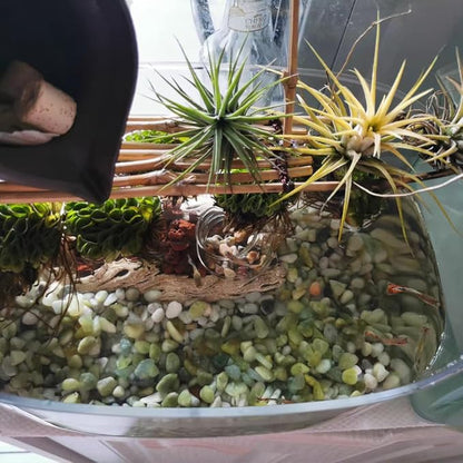 Polished pale green and white pebbles covering the base of a planted container