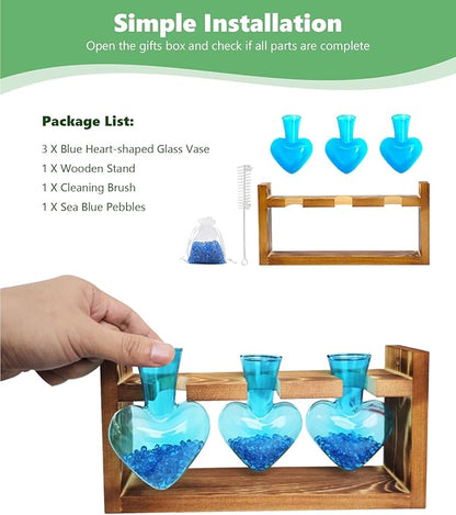 Plant propagation station components: wooden stand, blue heart vases, and cleaning brush