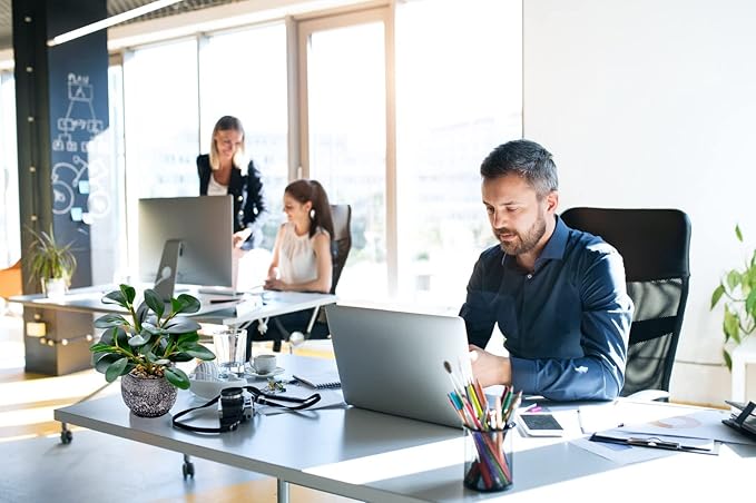 Faux ficus plant in speckled black cement planter on office conference table