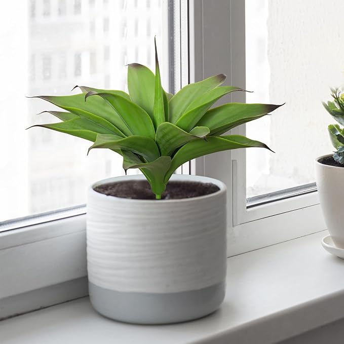 Dark green faux agave plant in a white ceramic pot