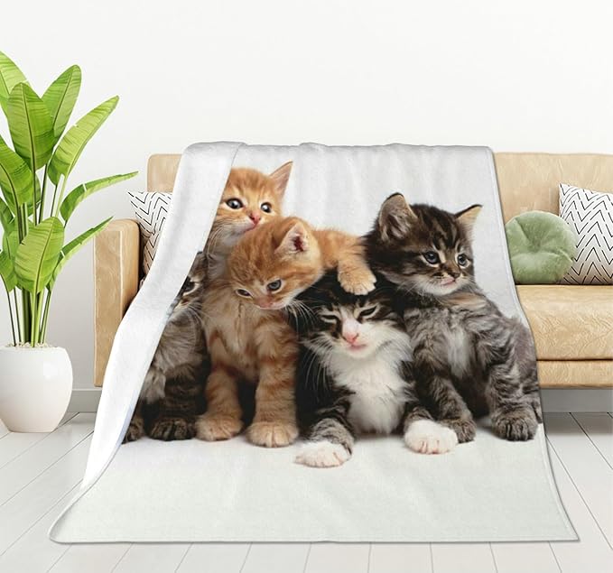 Cats throw blanket with photo print of five kittens on light gray fleece