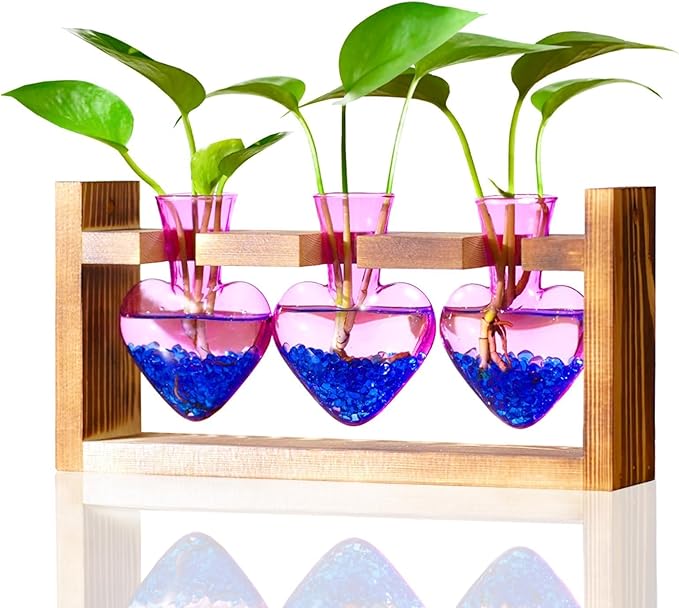 Natural wood plant propagation stand with three purple heart-shaped glass vases