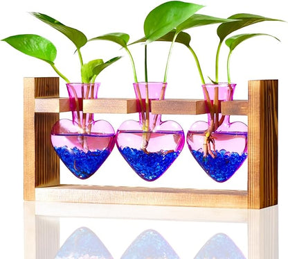 Natural wood plant propagation stand with three purple heart-shaped glass vases