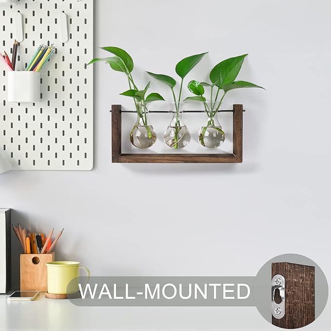 Wall-mounted plant propagation station with brown wood frame and three glass bulb vases