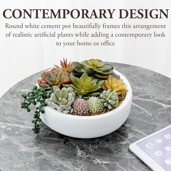 Round white concrete bowl with faux succulents and trailing string-of-pearls