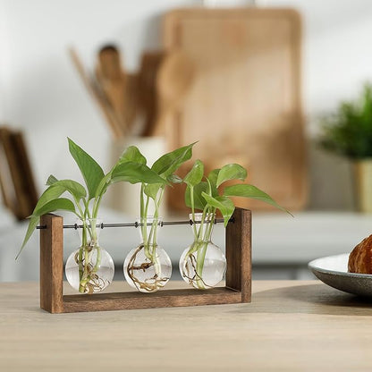 Brown wooden 3-bulb plant propagation station with three clear glass bulb vases