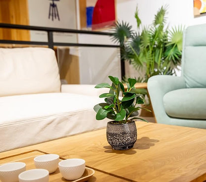 Faux ficus plant in speckled black cement planter on dining table