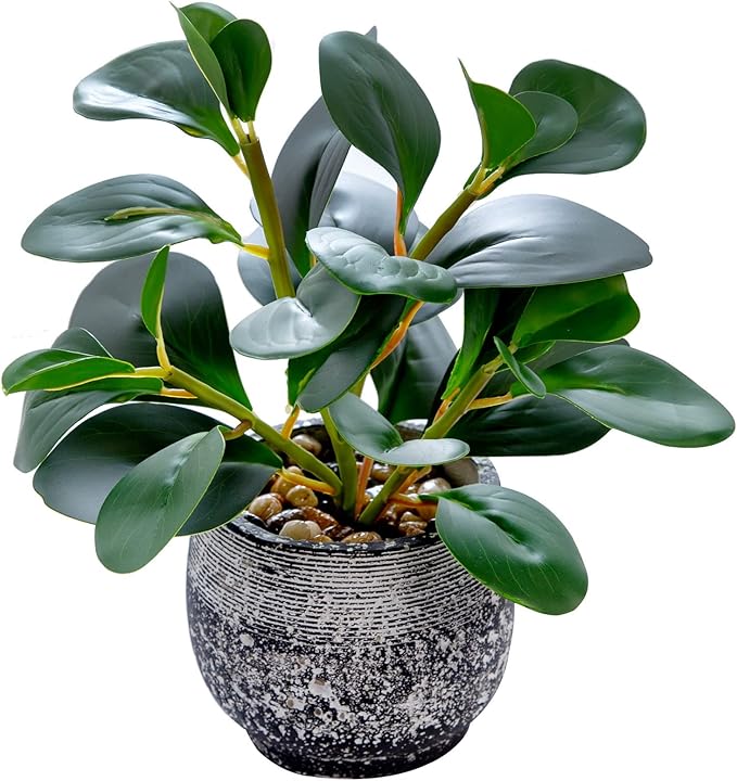 Faux ficus plant with glossy green leaves in speckled black cement planter