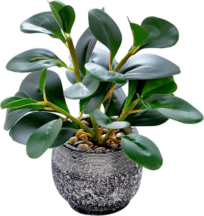 Faux ficus plant with glossy green leaves in speckled black cement planter