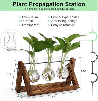 Plant propagation station showing 3 clear bulb vases on a brown wood metal stand