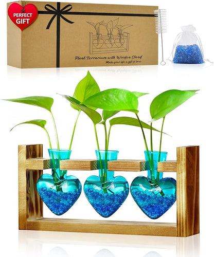 Plant propagation station with wooden stand and three blue heart-shaped glass vases