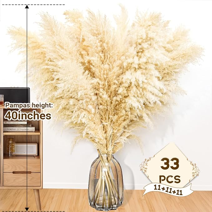 Natural beige dried pampas grass stems in clear glass vase with fluffy plumes