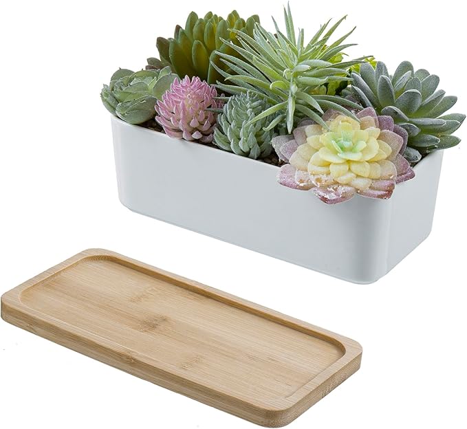 Faux succulent planter in white ceramic with bamboo tray and removable base