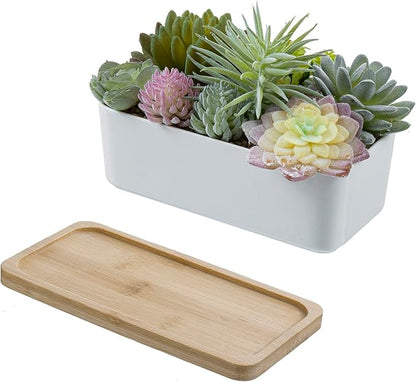 Faux succulent planter in white ceramic with bamboo tray and removable base