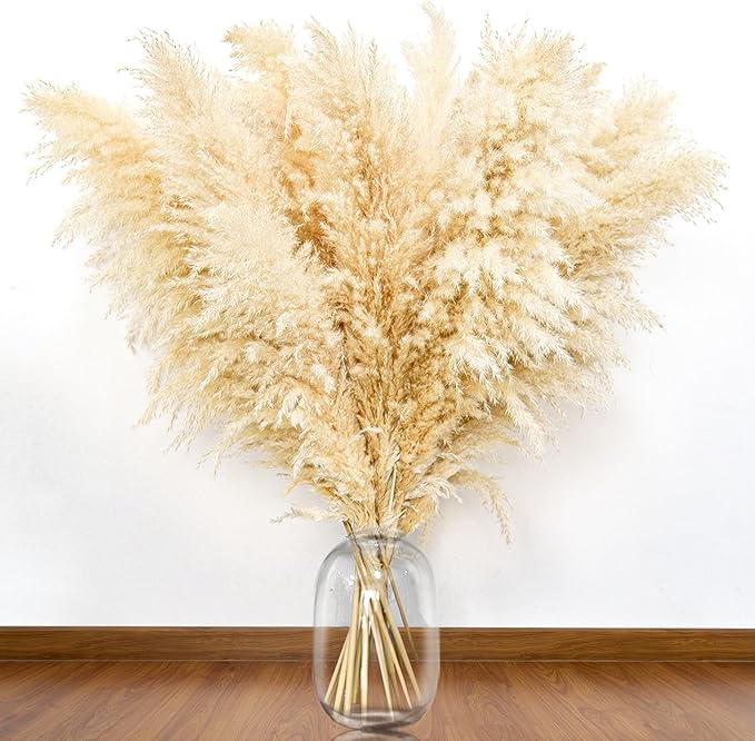 Dried beige pampas grass stems in a clear glass vase with fluffy feathery plumes