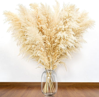 Dried beige pampas grass stems in a clear glass vase with fluffy feathery plumes