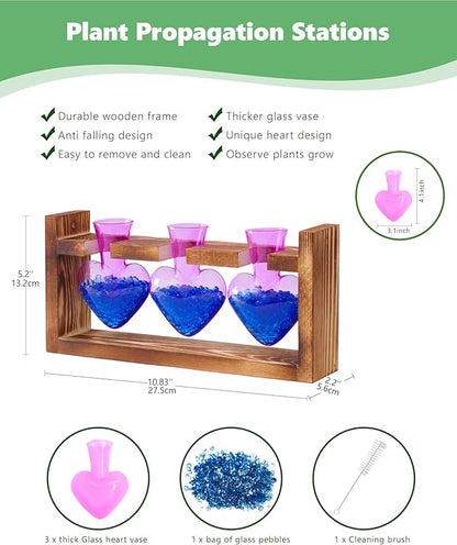 Wood propagation station with three purple heart-shaped glass vases, glass pebbles, cleaning brush