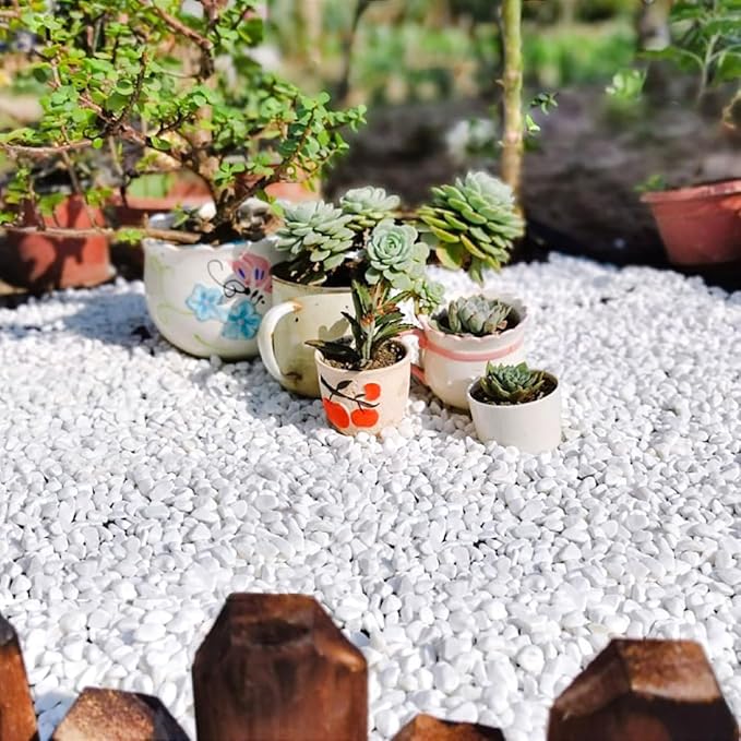 White polished gravel spread across a garden bed around small potted succulents
