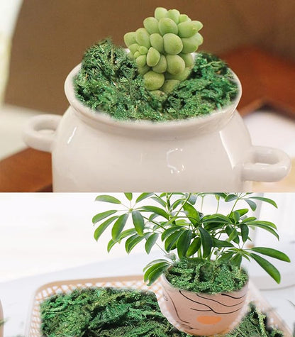 Dark green artificial moss inside a white ceramic mug planter