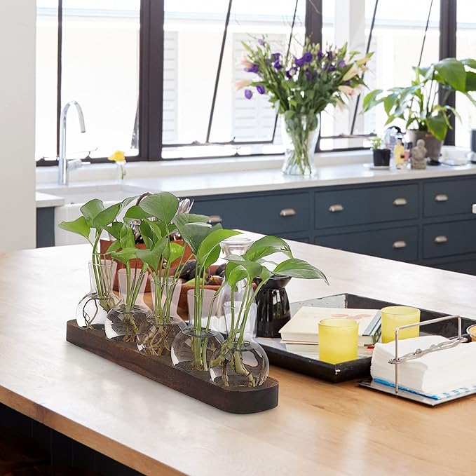 Wooden tray with clear glass bulb propagation vases and green seedlings on desk