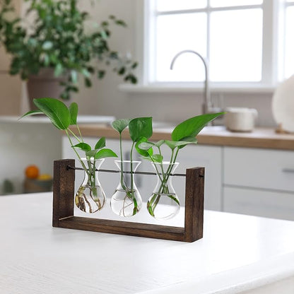 Plant propagation station with brown wood frame and three glass bulb vases on table