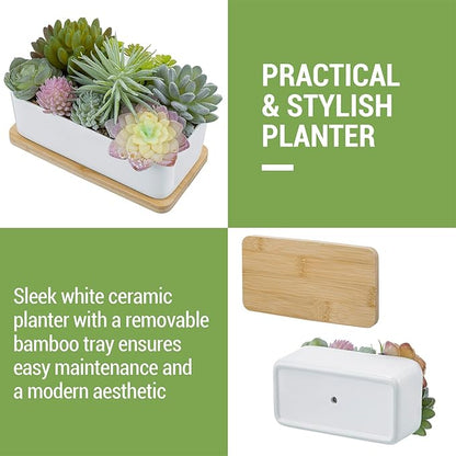 White ceramic faux succulent planter with bamboo tray and removable base