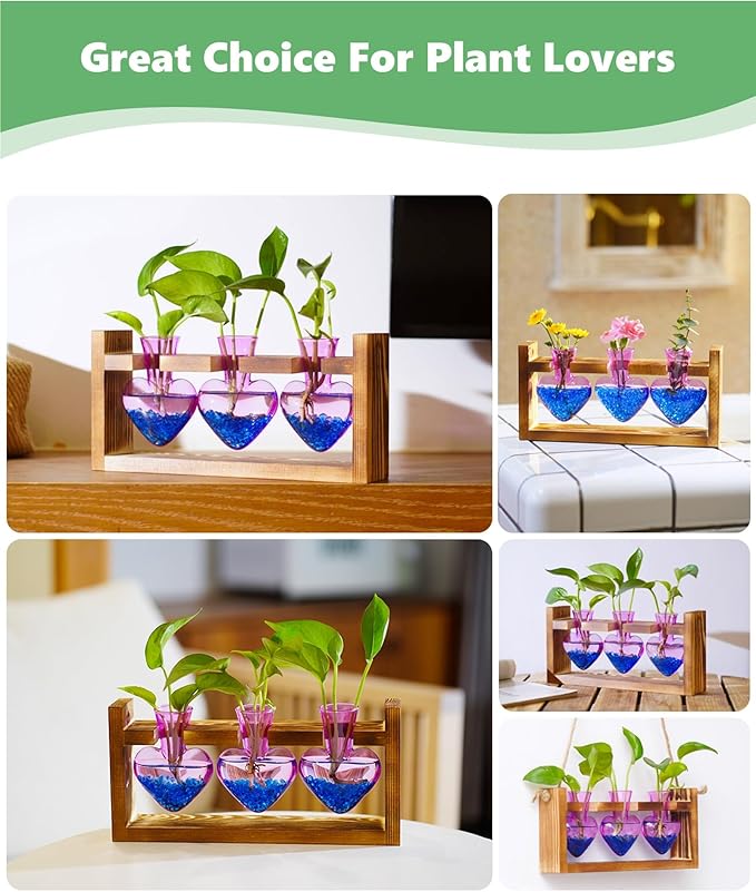 Wood plant propagation station with three purple heart-shaped glass vases holding small plants