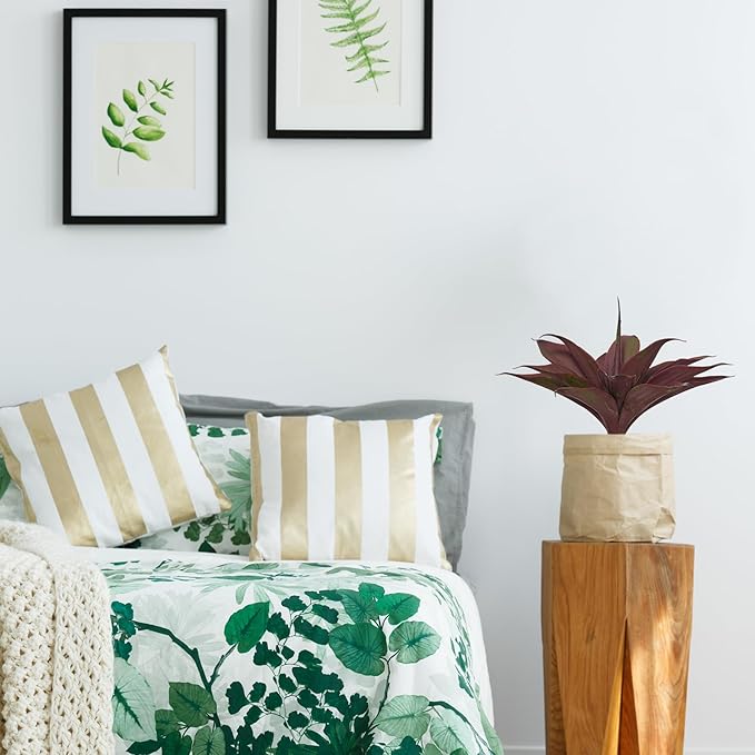 Artificial agave plant with purple-red leaves in a light wrap on a wooden stand.